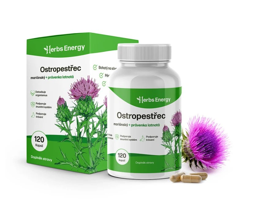 Ostropestřec Mariánský